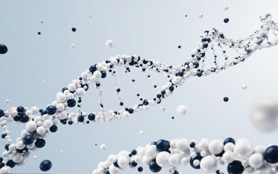   مصر اليوم - تقنيّة Crispr ستعالج أمراض الكبد الوراثيّة لدى البشر