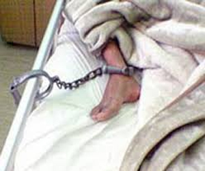   مصر اليوم - 15 أسيرا في مستشفى سجن الرملة يعانون أوضاعا صحية سيئة