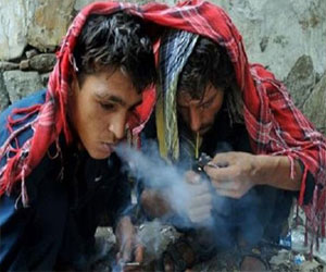   مصر اليوم - تدخين نبات الحشيش يؤثر على صحة القلب