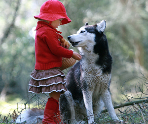   مصر اليوم - أم أميركية تقضم أذن كلب لإنقاذ ابنتها