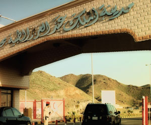   مصر اليوم - المدينة الطبية بجامعة الملك سعود تصمم برنامجًا لتشخيص وعلاج التوحد