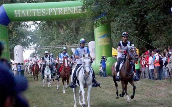   مصر اليوم - انطلاق مُنافسات أتوليريوس للقدرة في البرتغال