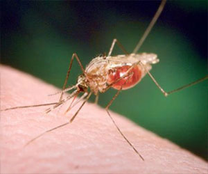   مصر اليوم - وفاة 7.600 شخص جراء الملاريا في بوركينا فاسو