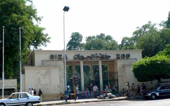   مصر اليوم - حديقة حيوانات الجيزة متنزه المصريين في الإجازات