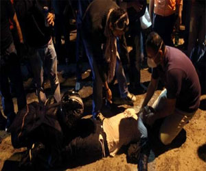   مصر اليوم - إصابّة عامل بطلق ناري في سوهاج