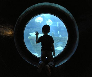   مصر اليوم - اف بي آي تبحث عن ضحايا أسوأ متحرش في العالم