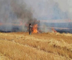   مصر اليوم - عقب سيجارة يتسبب في حريق 2 فدان قمح في سوهاج