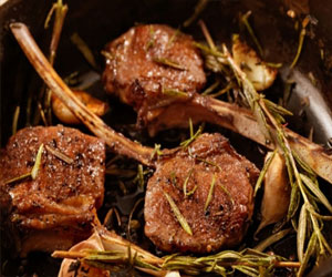   مصر اليوم - الريش البتلو