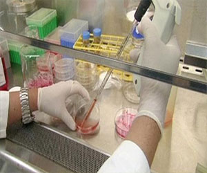   مصر اليوم - الصحة المصرية تنفي وجود إصابات جديدة بفيروس كورونا