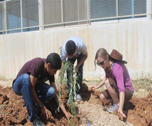   مصر اليوم - العربيَّة لحماية الطَّبيعة تزرع 1000 شجرة في مادبا الأردنيَّة
