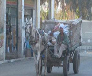   مصر اليوم - إصابة 2 في اصطدام سيّارة شـرطة وكارو في الأقصر