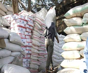 مصر اليوم - توريد 16,051 ألف طن قمح إلى صوامع البحيرة