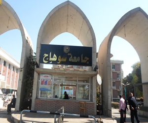   مصر اليوم - جامعة سوهاج تنظم كورسًـا تدريبيًا في الحرف التقليدية