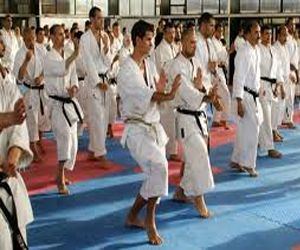   مصر اليوم - فريّق الكاراتيّه المصري يفوزُ ببطولة الغراند برايّز