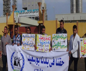   مصر اليوم - عمال البرولين يرفضون وعود الإدارة مقابل فض الاعتصام