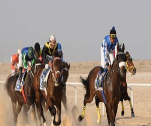 مصر اليوم - محافظ الأحساء يرعى الختام السنوي لفروسية الأحساء