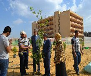   مصر اليوم - جامعة قناة السويس ترعى مشروع استخدام النباتات الفطرية في الطب والبيئة