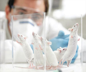  مصر اليوم - الباحثون الرجال في المختبرات يوتّرون فئران التجارب