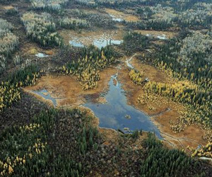   مصر اليوم - خدمة الإنترنت ستتوافر قريبًا في المتنزهات الطبيعية الكندية