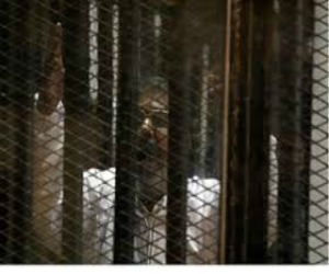   مصر اليوم - دفاع قضيّة وادي النطرون يطالب بضم مبارك والسيسي