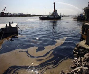   مصر اليوم - بكتيريا ماصّة للغازات تساعد في مكافحة التسرُّب النفطيّ