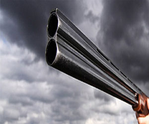   مصر اليوم - أميركية أطلقت النار على زوجها لتحمي هرّتها