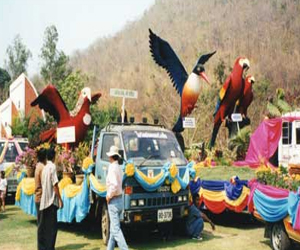 مصر اليوم - أول مهرجان فرنسي للعصافير في إقليم بامبوف