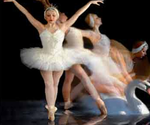   مصر اليوم - باليه بحيرة البجع على مسرح دار أوبرا أوتاواه