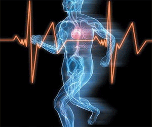   مصر اليوم - تراكم الأملاح المعدنية في المخ يزيد عجز مرضى تصلب الشرايين