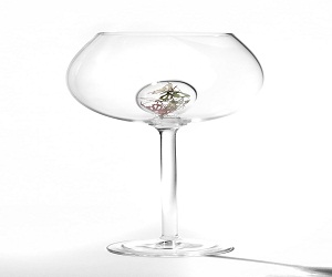   مصر اليوم - كؤوس-تحتوي-على-فراشات-معلقة