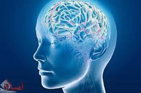   مصر اليوم - التصوير بالأشعة له تأثير سيء على المخ