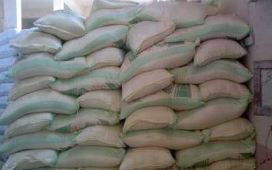   مصر اليوم - توزيع 120 طن أرز على المواطنين في بندر الأقصر ومركز أرمنت