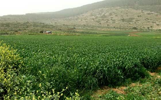   مصر اليوم - خطوات جادة لاستصلاح 10 آلاف فدان في الأقصر