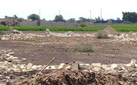   مصر اليوم - إزالة 150 حالة تعد على الأراضي الزراعية في الشرقية