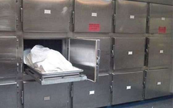   مصر اليوم - مقتل مهندس زراعي على يد شقيقه في الشرقية