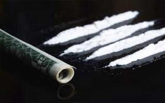   مصر اليوم - القبض على شخص بحوزته مواد مُخدرة في البحيرة