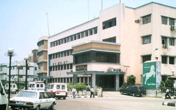   مصر اليوم - اعتقال 6 من الإخوان لتورطهم في تفجير برجي كهرباء في الشرقية