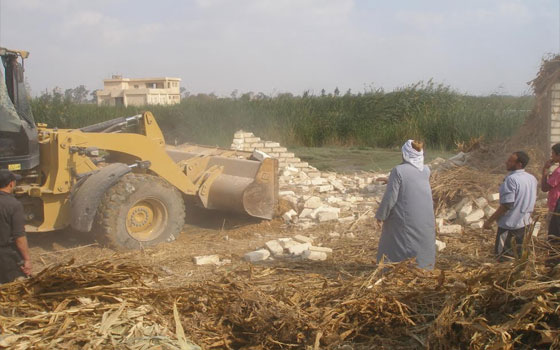   مصر اليوم - إزالة 285  إشغالاً في حملة للوحدة المحلية في دمنهور