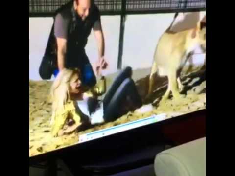 أسد ينقضّ على فنانة لبنانية شهيرة