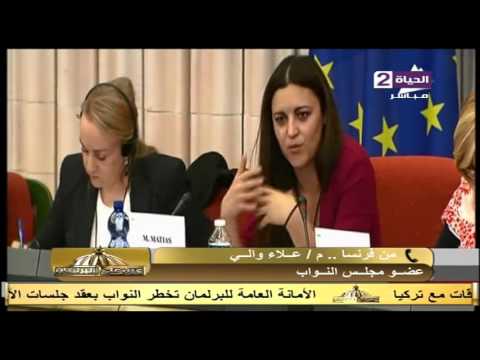 شاهد النائب علاء والي يكشف تفاصيل ما حدث مع الوفد المصري في زيارته للبرلمان الأوروبي