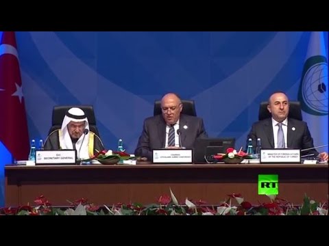 وزير الخارجية المصري سامح شكري يتجاهل أردوغان