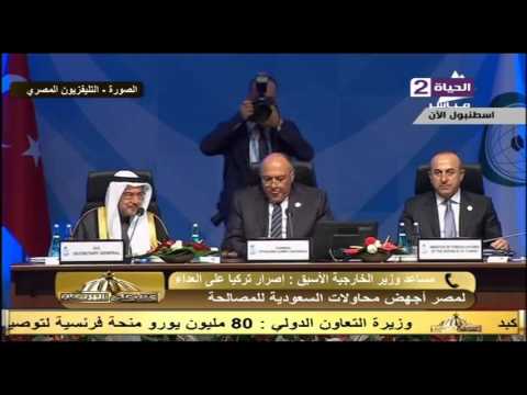 شاهد تعليق السفير رخا أحمد حسن على موقف وزير الخارجية