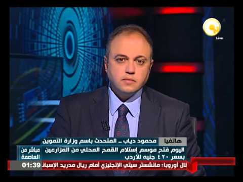 فيديو إعلان بدء استلام القمح المحلي من المزارعين بـ 420 جنيها للأردب