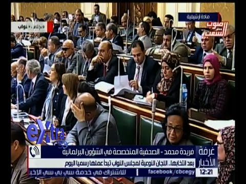 اللجان النوعية لمجلس النواب المصري تبدأ علمها