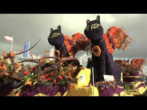 دولة هولندا تحتفل بحلول فصل الربيع