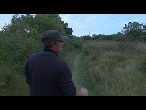 نهر لاشارانت الفرنسي ليس ككل الأنهار