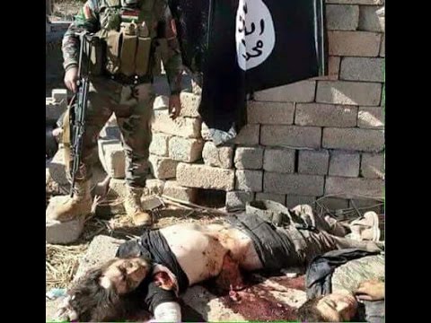 بالفيديو البيشمركة تقتل 400 عنصر من داعش