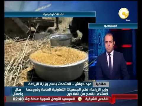 شاهد متحدث  الزراعة يؤكد انفراجة في أزمة توريد القمح في المحافظات