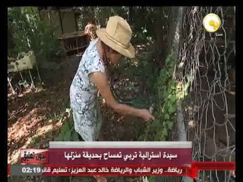 شاهد سيدة أسترالية تربي تمساح في حديقة منزلها