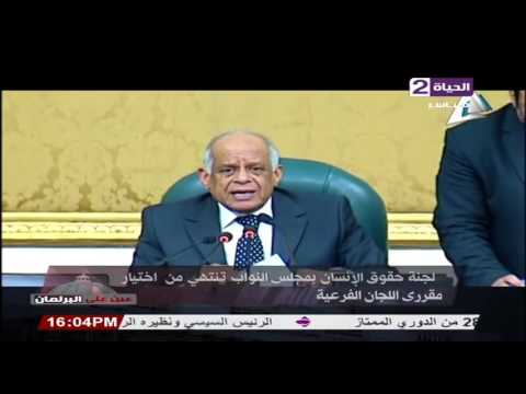 بالفيديو شاهد لجنة حقوق الإنسان في البرلمان تختار مقررات اللجان النوعية